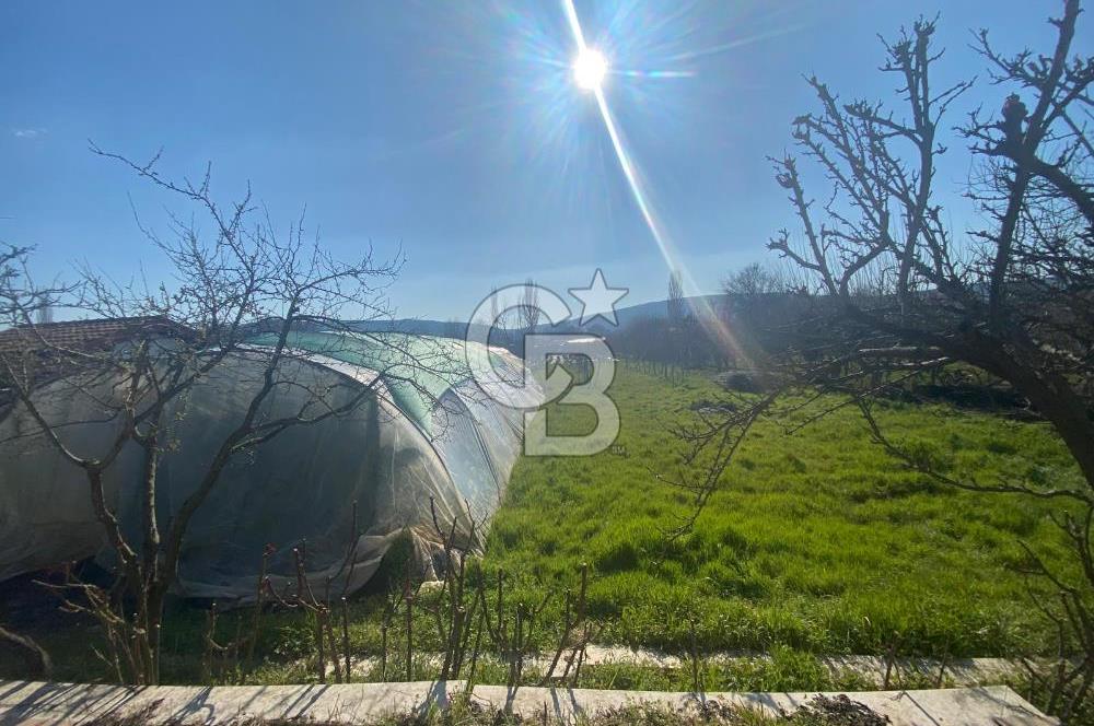 Muğla Karabağlar Yaylası'nda Müstakil 2+1 Kiralık Yayla Evi 