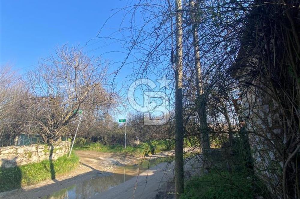 Muğla Karabağlar Yaylası'nda Müstakil 2+1 Kiralık Yayla Evi 