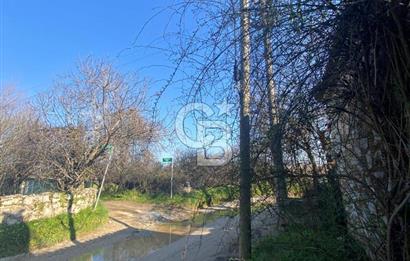 Muğla Karabağlar Yaylası'nda Müstakil 2+1 Kiralık Yayla Evi 