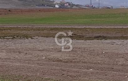 Temelli hürriyet mah satılık arsa