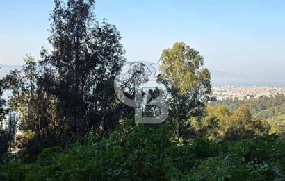 Bayraklı 75. Yıl Mah. Deniz Manzaralı Kiralık 4+1 