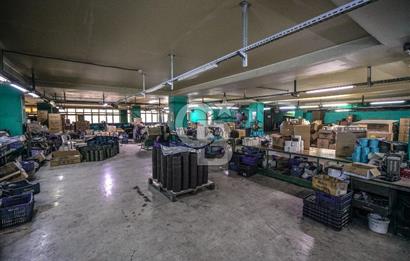 HADIMKÖY ÖMERLİ KOS KOOP SAN SİTESİ KİRALIK 7500M2 FABRİKA DEPO
