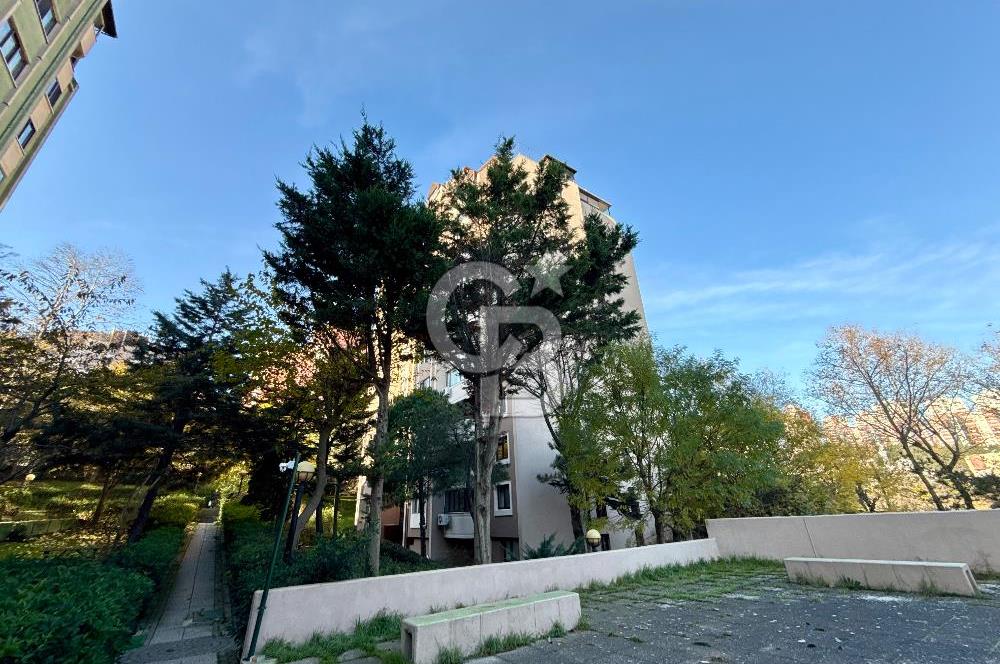 BAHÇEŞEHİR MERKEZ ÇINAR ADASINDA SATILIK B TİPİ 3+1 DAİRE BOŞ