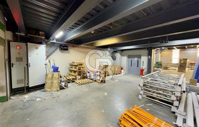 TEM 34 ESENYURT 1.ETAP ÜRETİME UYGUN DEPO & İMALATHANE 2500 M2