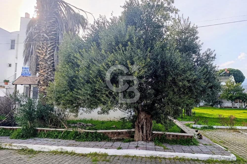 Güre’de Denize 100 m – Tripleks 5+1 Villa – Teraslı ve Bahçeli