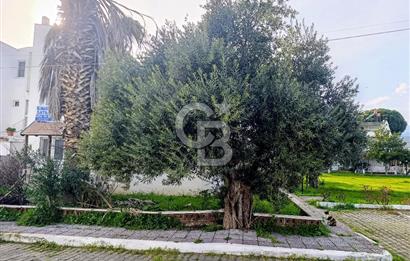 Güre’de Denize 100 m – Tripleks 5+1 Villa – Teraslı ve Bahçeli