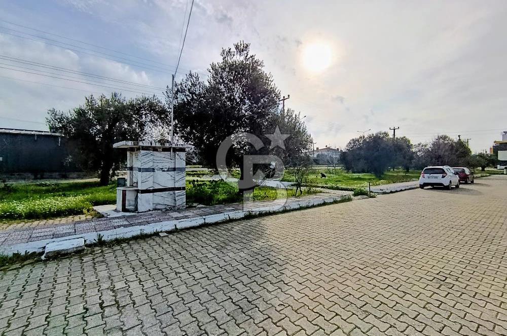 Güre’de Denize 100 m – Tripleks 5+1 Villa – Teraslı ve Bahçeli