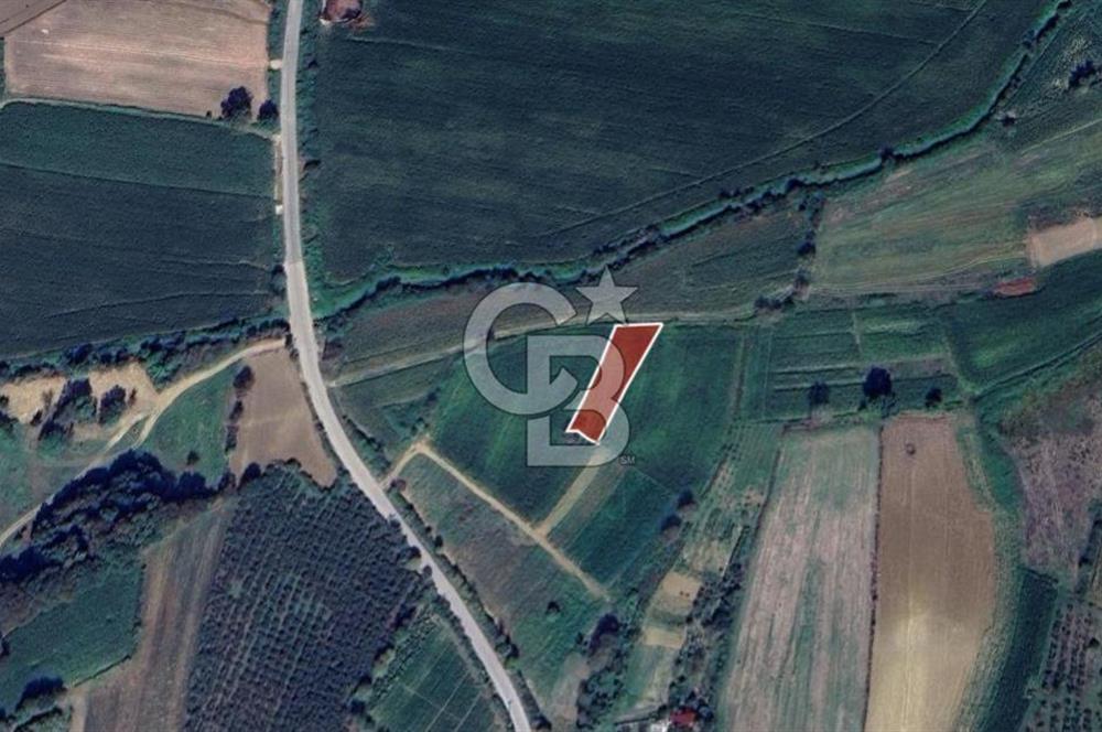 CB TOWER KANDIRA SÜLLÜ'DE 962 m² SATILIK YATIRIMLIK TARLA