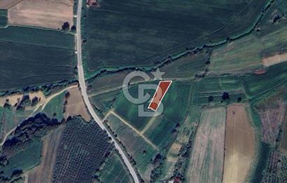 CB TOWER KANDIRA SÜLLÜ'DE 962 m² SATILIK YATIRIMLIK TARLA