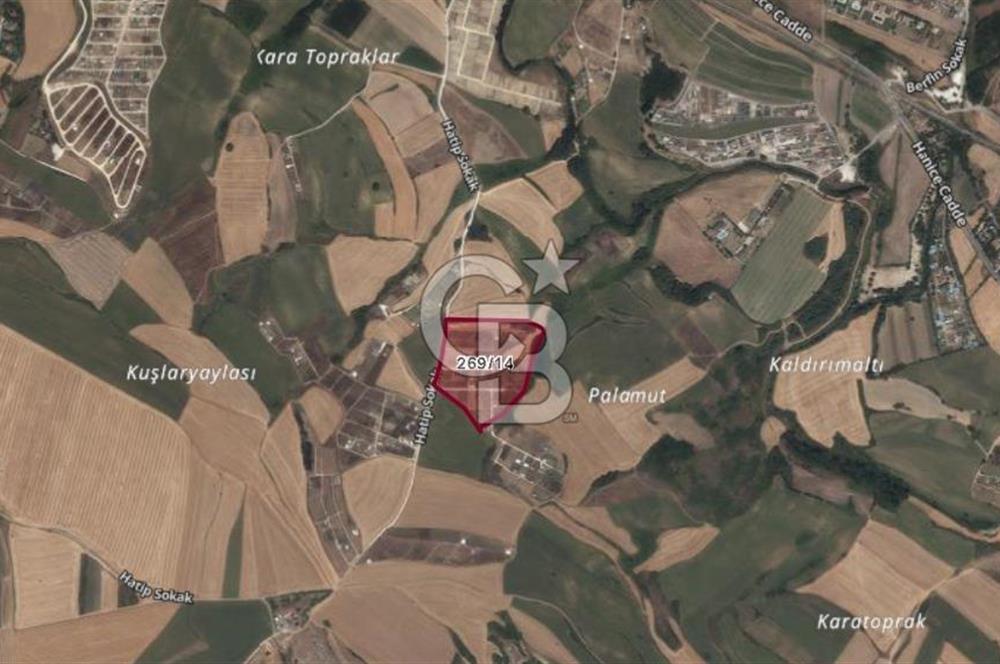 İstanbul Çatalca Kabakça'da Satılık Arsa