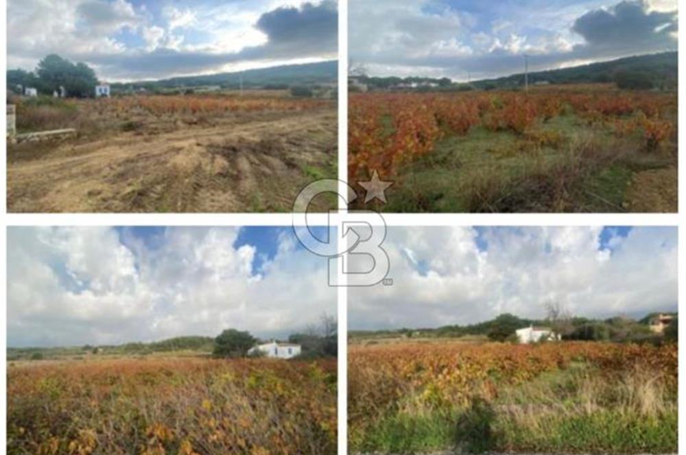 Bozcaada Sulubahçe de Deniz Manzaralı Müstakil Yazlık