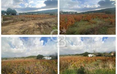 Bozcaada Sulubahçe de Deniz Manzaralı Müstakil Yazlık