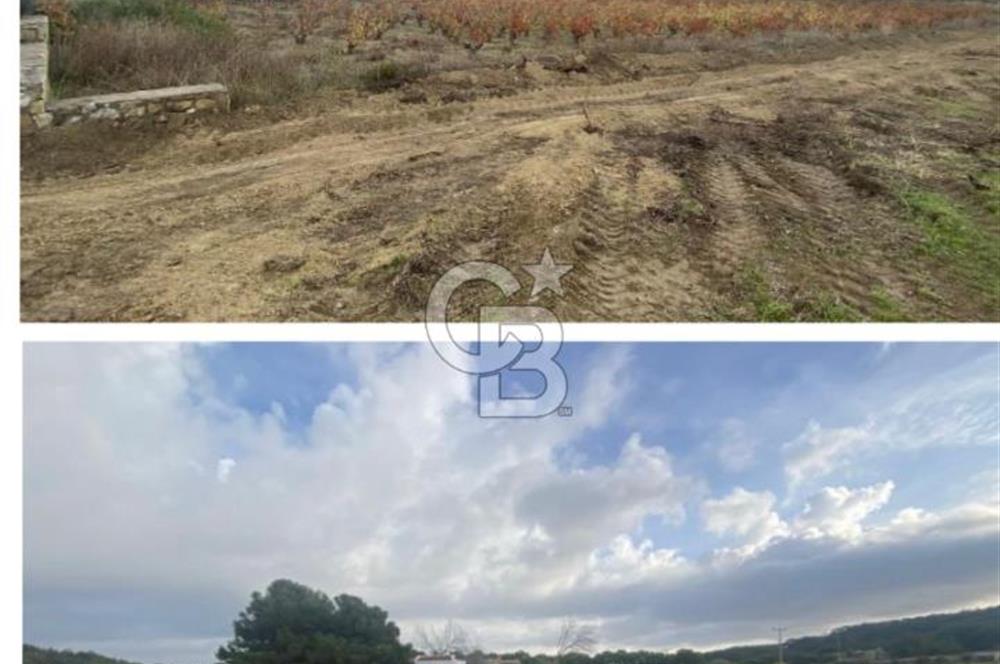 Bozcaada Sulubahçe de Deniz Manzaralı Müstakil Yazlık