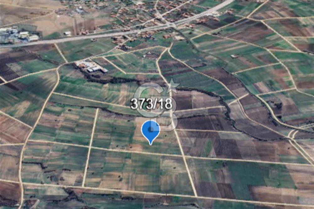 Edirne Uzunköprü Kavacıkta Yola Cephe 4.873 M2 Satılık Tarla