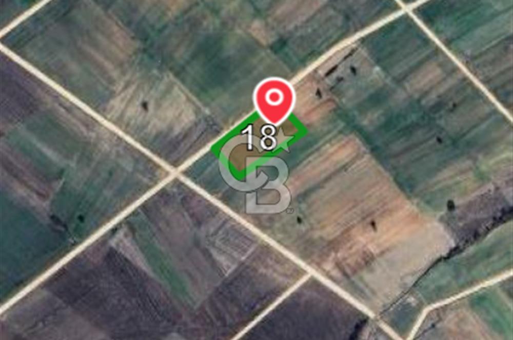 Edirne Uzunköprü Kavacıkta Yola Cephe 4.873 M2 Satılık Tarla