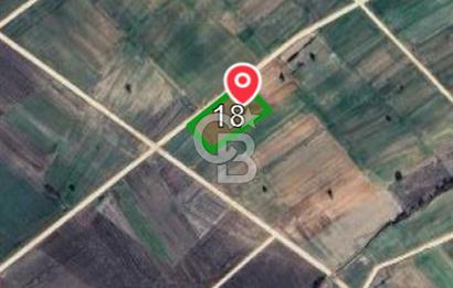 Edirne Uzunköprü Kavacıkta Yola Cephe 4.873 M2 Satılık Tarla