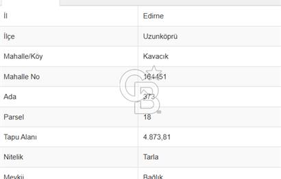 Edirne Uzunköprü Kavacıkta Yola Cephe 4.873 M2 Satılık Tarla
