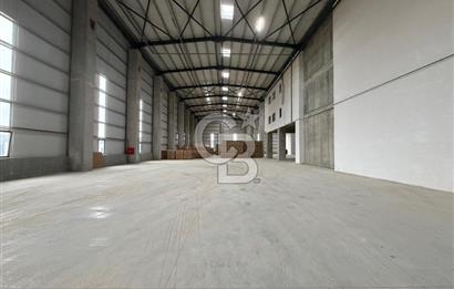 SATILIK 8.000m2 H:14m FABRİKA OSB İÇİNDE