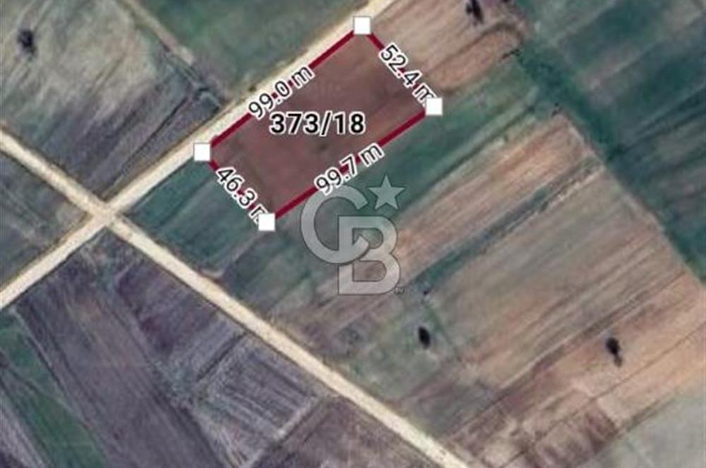 Edirne Uzunköprü Kavacıkta Yola Cephe 4.873 M2 Satılık Tarla