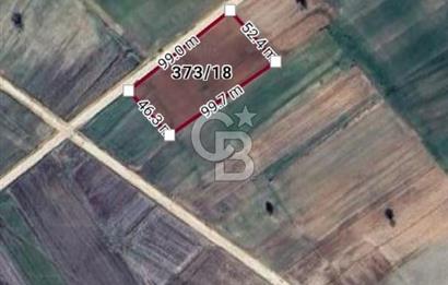 Edirne Uzunköprü Kavacıkta Yola Cephe 4.873 M2 Satılık Tarla