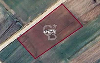 Edirne Uzunköprü Kavacıkta Yola Cephe 4.873 M2 Satılık Tarla