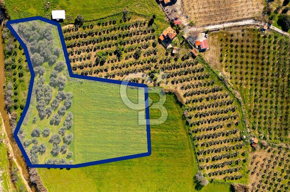 Foça Yenibağarası Mah. Satılık Tarla