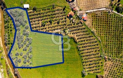 Foça Yenibağarası Mah. Satılık Tarla