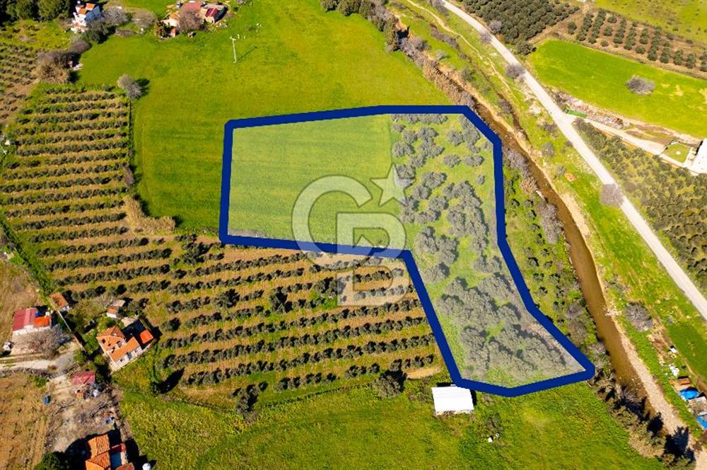 Foça Yenibağarası Mah. Satılık Tarla