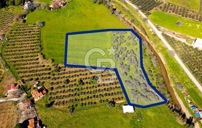 Foça Yenibağarası Mah. Satılık Tarla