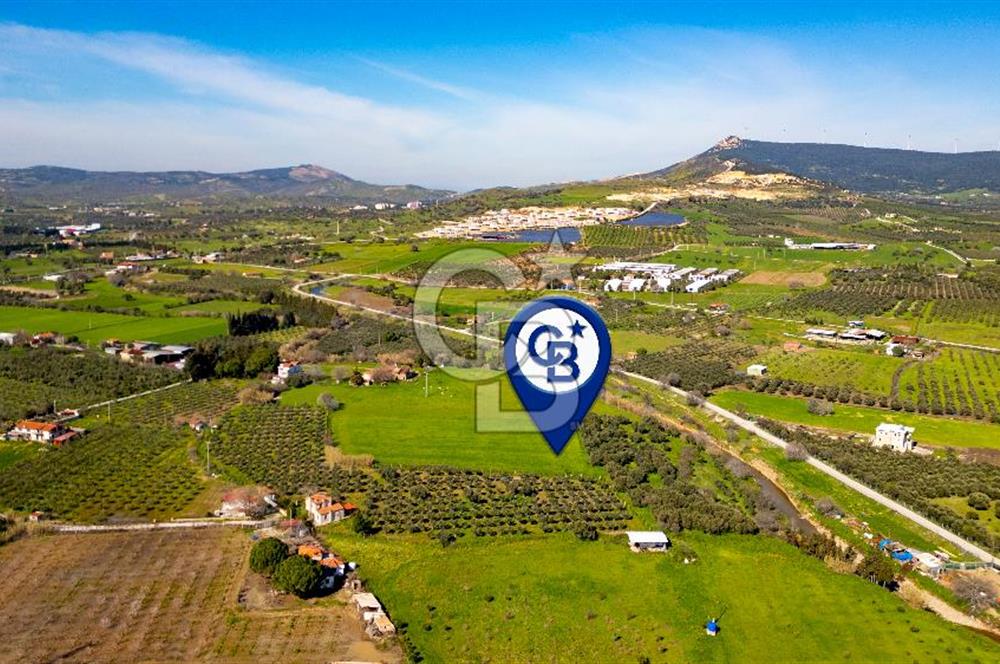 Foça Yenibağarası Mah. Satılık Tarla