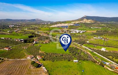 Foça Yenibağarası Mah. Satılık Tarla