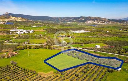 Foça Yenibağarası Mah. Satılık Tarla