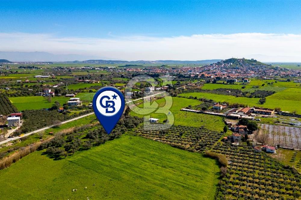 Foça Yenibağarası Mah. Satılık Tarla