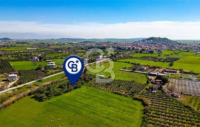 Foça Yenibağarası Mah. Satılık Tarla