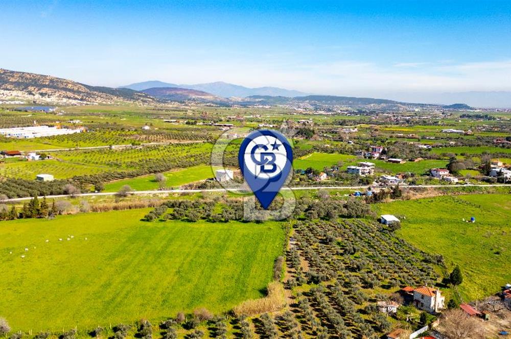 Foça Yenibağarası Mah. Satılık Tarla