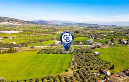 Foça Yenibağarası Mah. Satılık Tarla