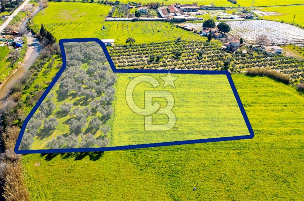 Foça Yenibağarası Mah. Satılık Tarla