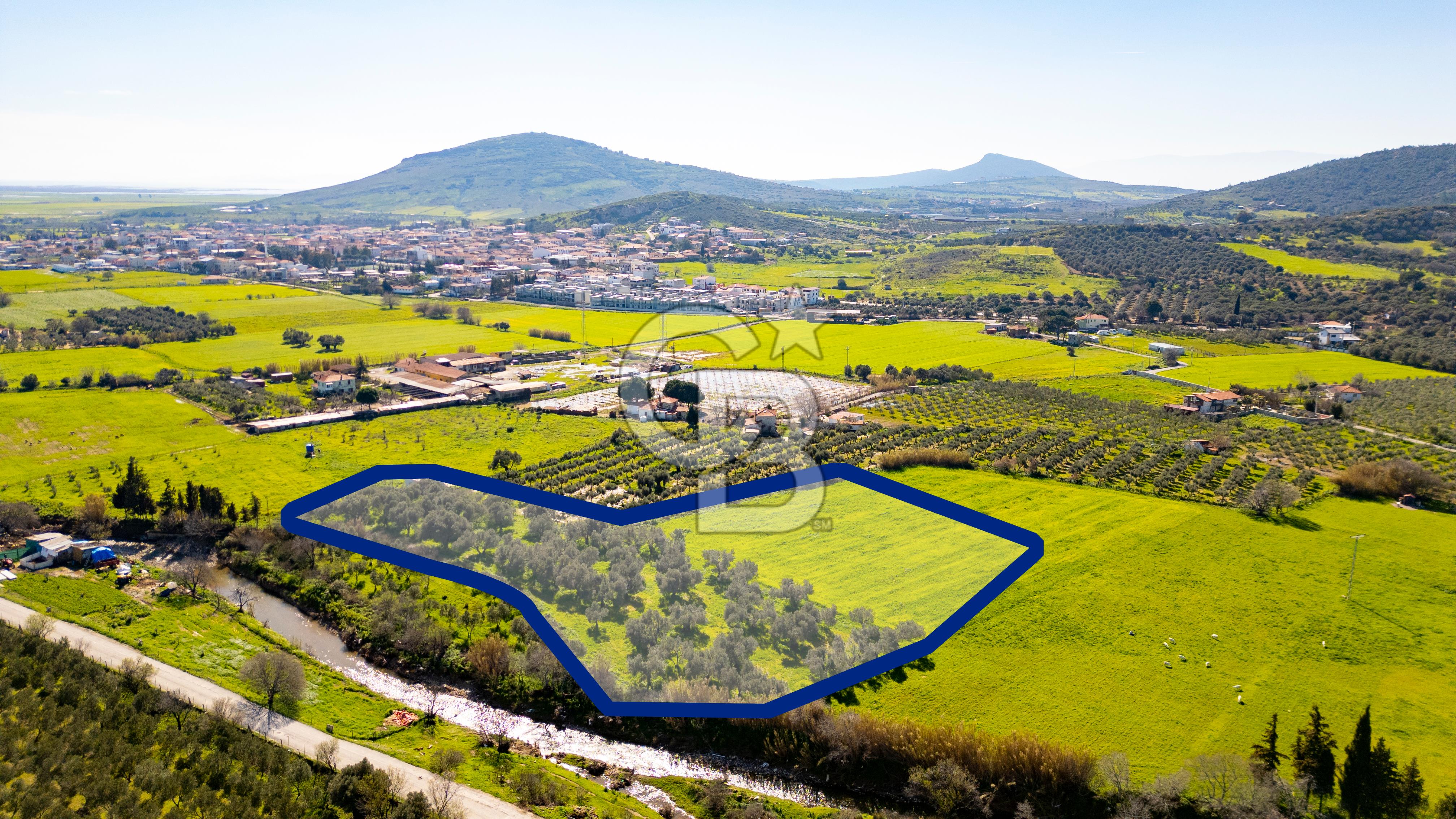 Foça Yenibağarası Mah. Satılık Tarla