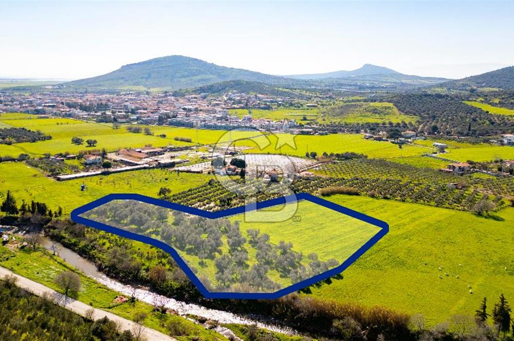 Foça Yenibağarası Mah. Satılık Tarla