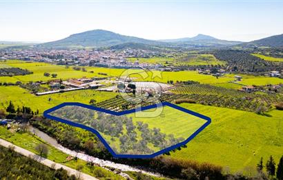 Foça Yenibağarası Mah. Satılık Tarla