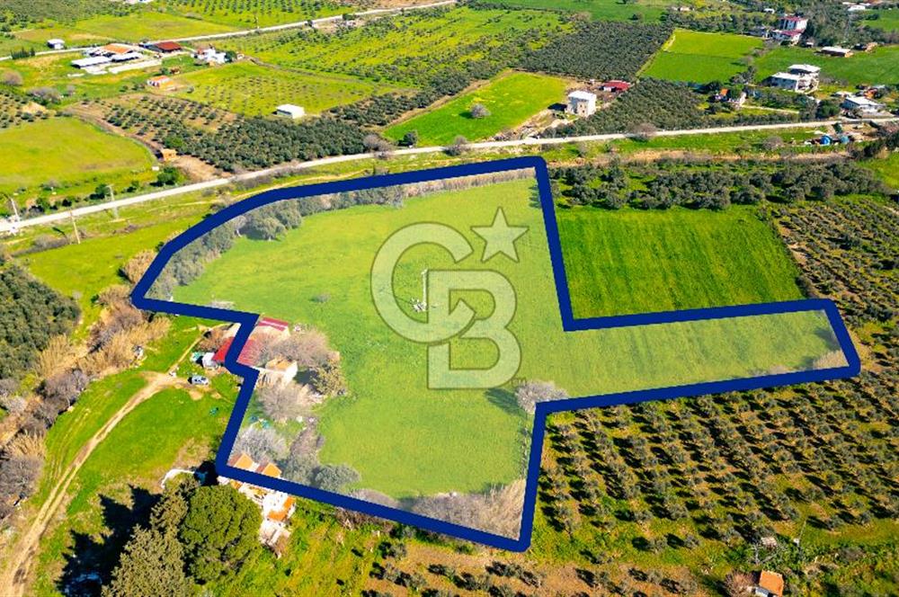 Foça Yenibağarası Mah. Satılık 18 Dönüm Tarla