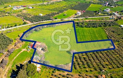 Foça Yenibağarası Mah. Satılık 18 Dönüm Tarla