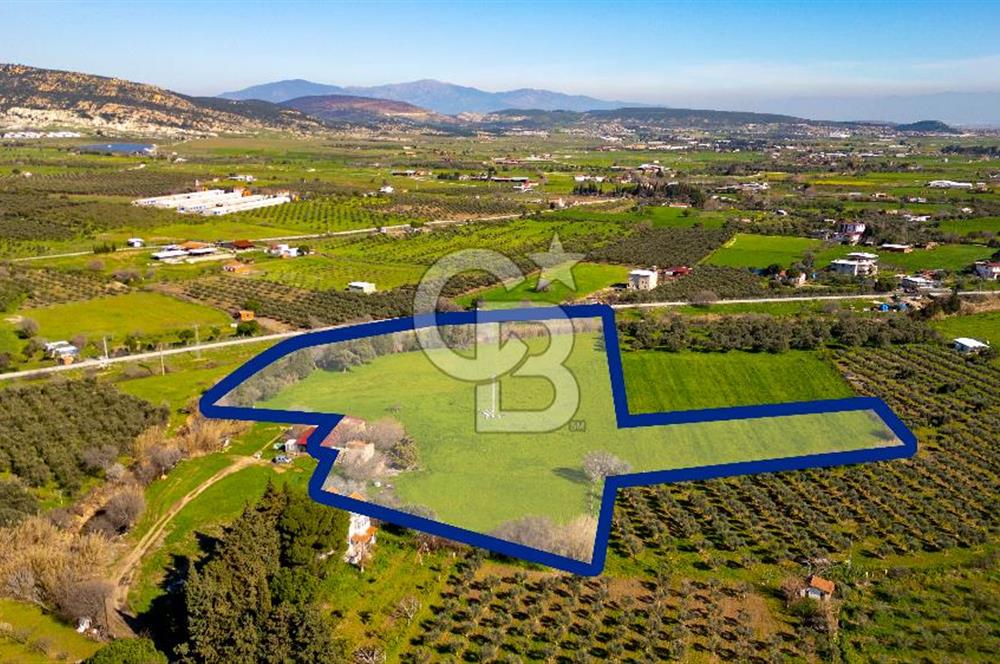 Foça Yenibağarası Mah. Satılık 18 Dönüm Tarla