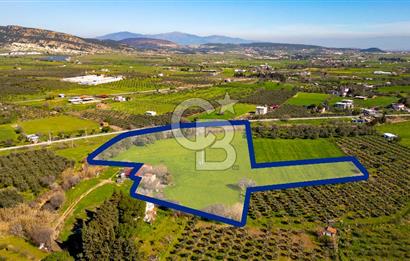 Foça Yenibağarası Mah. Satılık 18 Dönüm Tarla