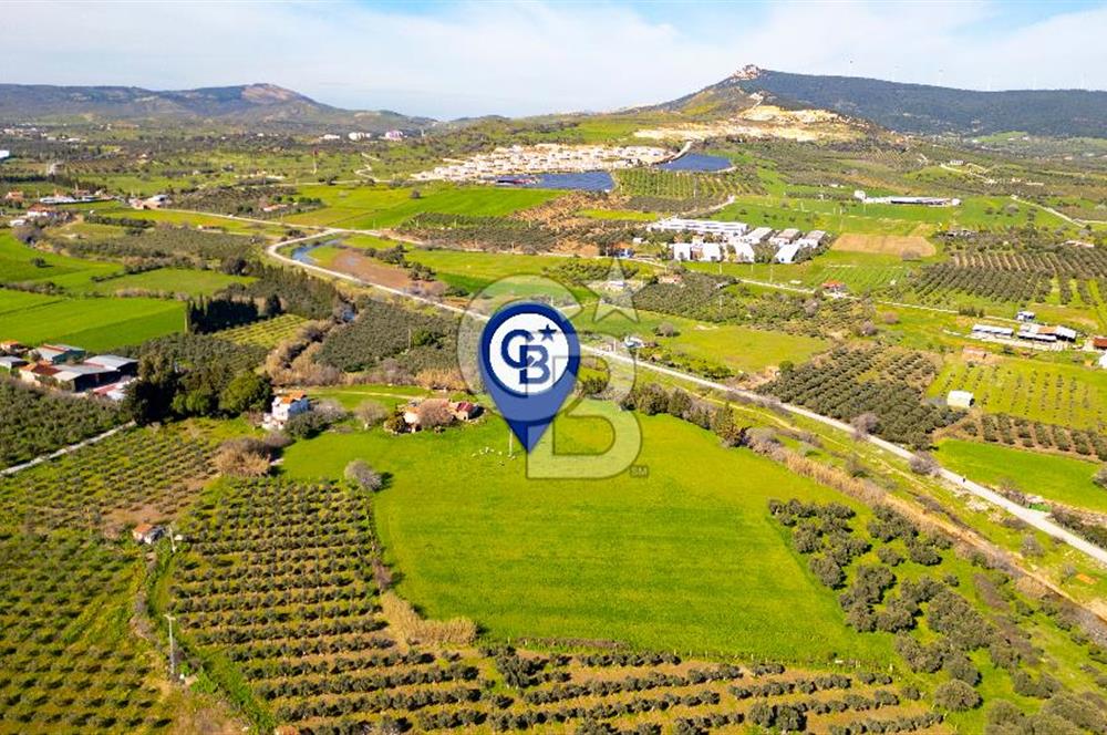 Foça Yenibağarası Mah. Satılık 18 Dönüm Tarla