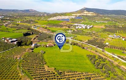 Foça Yenibağarası Mah. Satılık 18 Dönüm Tarla