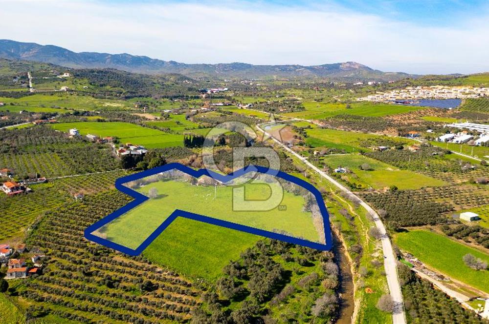 Foça Yenibağarası Mah. Satılık 18 Dönüm Tarla