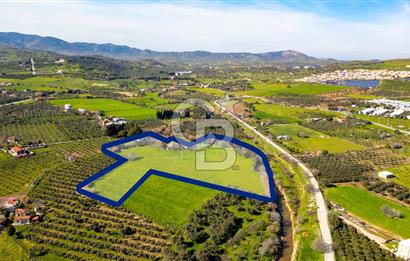 Foça Yenibağarası Mah. Satılık 18 Dönüm Tarla