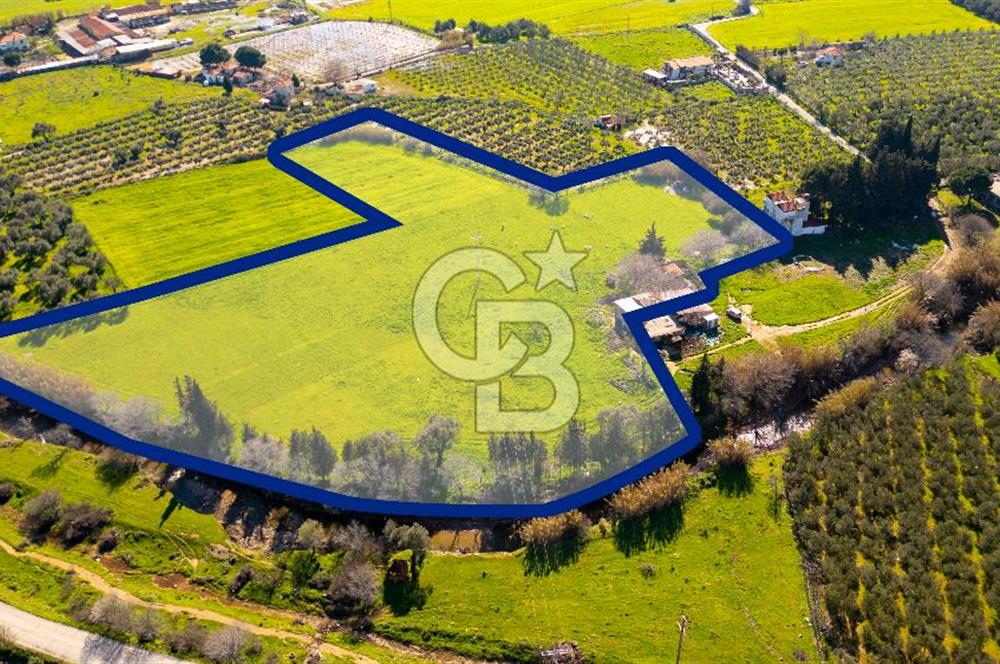 Foça Yenibağarası Mah. Satılık 18 Dönüm Tarla