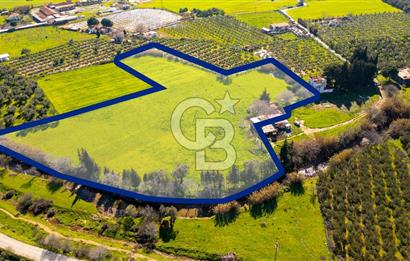 Foça Yenibağarası Mah. Satılık 18 Dönüm Tarla